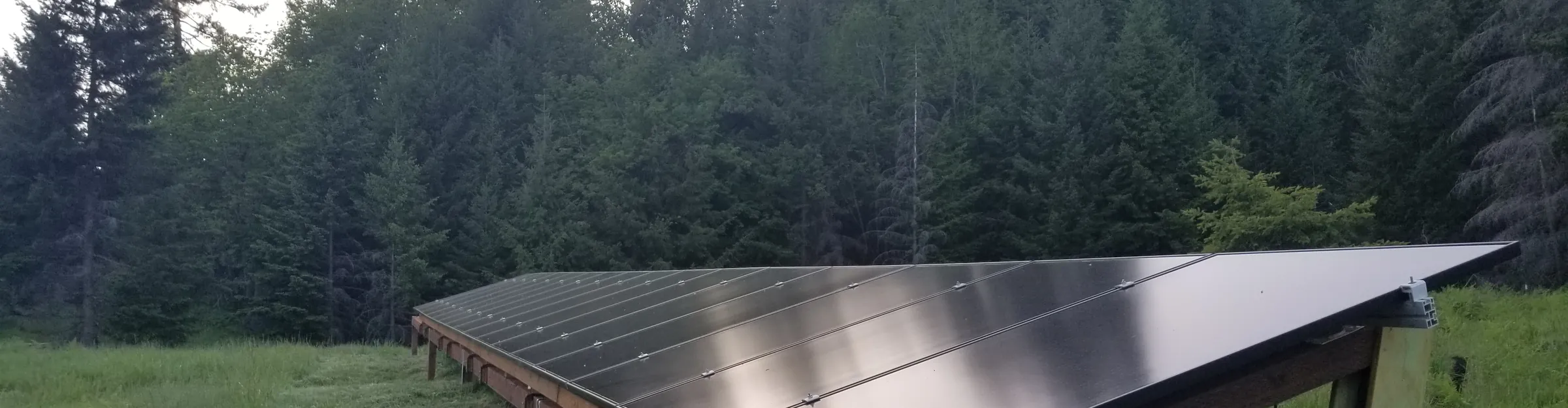 Ground-mounted solar panel array in a grassy field with a forest treeline behind it
