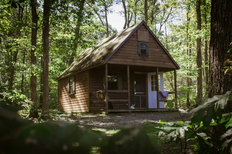 Small off-grid cabin in the woods